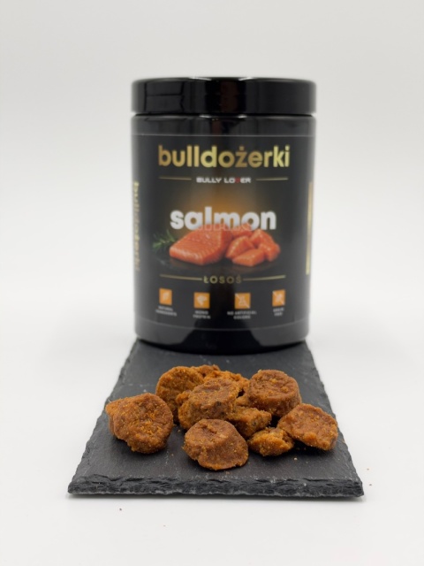 BULDOŻERKI ŁOSOŚ 240G