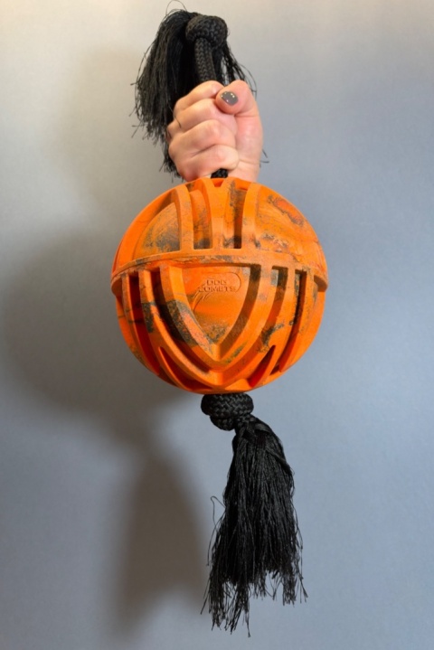 DOG COMETS NEBULA TUG ROPE